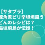 【サタプラ】豚角煮ピリ辛坦坦風うどんのレシピは？稲垣飛鳥が伝授！