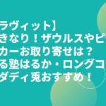 【ラヴィット】いきなりザウルスやピッチカーお取り寄せは？ぼる塾はるか・ロングコートダディ兎おすすめ！