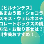 【ヒルナンデス】あまおう苺・ショコラコスモス・ウェルネスチョコレートボックスの購入方法・お取り寄せは？市川歩美おすすめ！