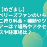 【めざまし】ベリーズファンのいちご狩り料金・種類やツアーは？場所やアクセスや駐車場は？