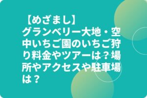 【めざまし】グランベリー大地・空中いちご園のいちご狩り料金やツアーは？場所やアクセスや駐車場は？