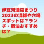 伊豆河津桜まつり2023の混雑や穴場スポットは？ランチ・宿泊おすすめは？