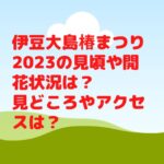伊豆大島椿まつり2023の見頃や開花状況は？見どころやアクセスや駐車場は？