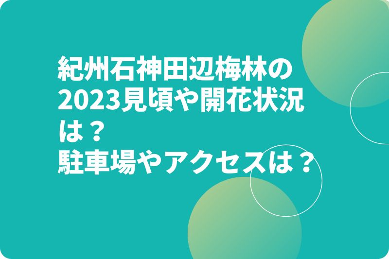 紀州石神田辺梅林の2023見頃や開花状況は?駐車場やアクセスは?