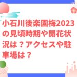 小石川後楽園梅2023の見頃時期や開花状況は？アクセスや駐車場は？