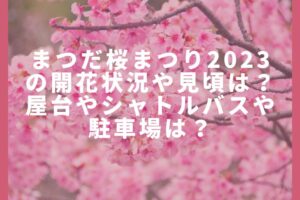 まつだ桜まつり2023の開花状況や見頃は?屋台やシャトルバスや駐車場は?