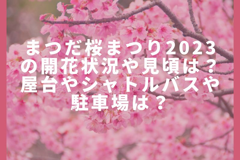 まつだ桜まつり2023の開花状況や見頃は？屋台やシャトルバスや駐車場は？