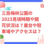 三岳梅林公園の2023年見頃時期や開花状況は？屋台や駐車場やアクセスは？