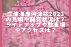 三浦海岸桜まつり2023の混雑状況や駐車場は?屋台・テント村の出店は?
