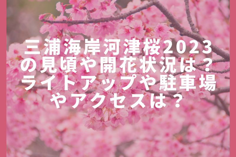 三浦海岸桜まつり2023の混雑状況や駐車場は？屋台・テント村の出店は？