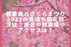 那覇美らさくらまつり2023の見頃や開花状況は？屋台や駐車場やアクセスは？