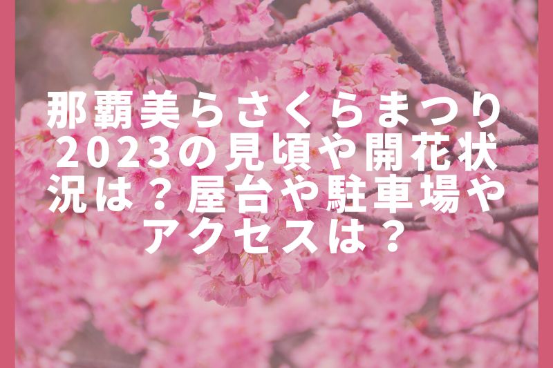 那覇美らさくらまつり2023の見頃や開花状況は？屋台や駐車場やアクセスは？