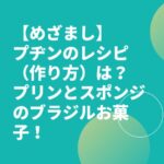 【めざまし】プヂンのレシピ（作り方）は？プリンとスポンジのブラジルお菓子！