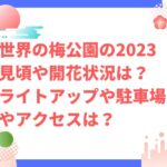 世界の梅公園2023の見頃や開花状況は？ライトアップや駐車場やアクセスは？