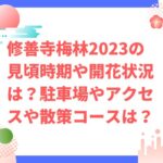 修善寺梅林2023の見頃時期や開花状況は？駐車場やアクセスや散策コースは？