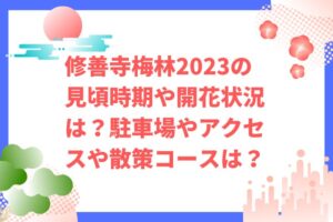 修善寺梅林2023の見頃時期や開花状況は？駐車場やアクセスや散策コースは？
