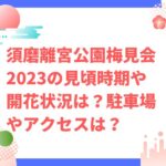 須磨離宮公園梅2023の見頃時期や開花状況は？駐車場やアクセスは？