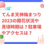 てんま天神梅まつり2023の開花状況や見頃時期は？駐車場やアクセスは？