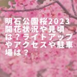 明石公園桜2023開花状況や見頃は？ライトアップやアクセスや駐車場は？