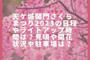 天ケ城開門さくらまつり2023の日程やライトアップ時間は？見頃や開花状況や駐車場は？