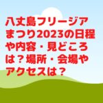 八丈島フリージアまつり2023の日程や内容・見どころは？場所・会場やアクセスは？