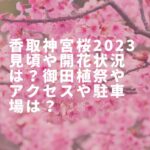 香取神宮桜2023見頃や開花状況は？御田植祭やアクセスや駐車場は？