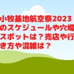 小牧基地航空祭2023のスケジュールや観覧スポットは？売店や行き方や混雑は？