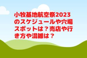 小牧基地航空祭2023のスケジュールや観覧スポットは？売店や行き方や混雑は？