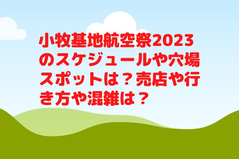 小牧基地航空祭2023のスケジュールや観覧スポットは？売店や行き方や混雑は？