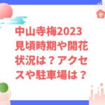 中山寺梅2023見頃時期や開花状況は？アクセスや駐車場は？