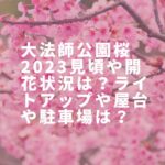 大法師公園桜2023見頃や開花状況は？ライトアップや屋台や駐車場は？