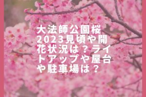 大法師公園桜2023見頃や開花状況は？ライトアップや屋台や駐車場は？