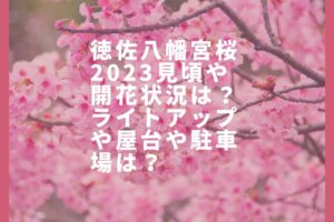 徳佐八幡宮桜2023見頃や開花状況は？ライトアップや屋台や駐車場は？