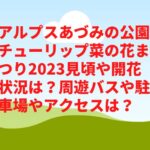 アルプスあづみの公園チューリップ菜の花まつり2023見頃や開花状況は？周遊バスや駐車場やアクセスは？
