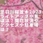 足羽川桜並木2023ライトアップや見頃は？開花状況やアクセスや駐車場は？