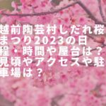 越前陶芸村しだれ桜まつり2023の日程・時間や屋台は？見頃やアクセスや駐車場は？