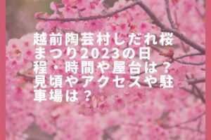 越前陶芸村しだれ桜まつり2023の日程・時間や屋台は？見頃やアクセスや駐車場は？