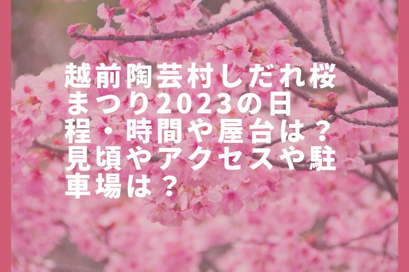 越前陶芸村しだれ桜まつり2023の日程・時間や屋台は？見頃やアクセスや駐車場は？
