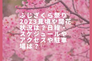 ふじざくら祭り2023見頃や開花状況は？日程・スケジュールやアクセスや駐車場は？