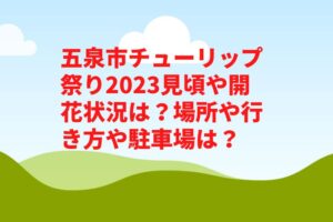 五泉市チューリップまつり2023見頃や開花状況は？屋台やアクセスや駐車場は？