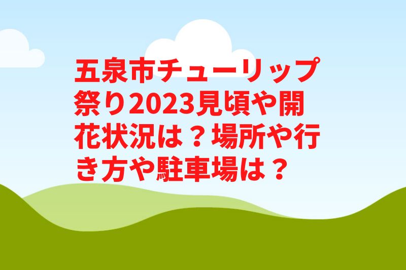 五泉市チューリップまつり2023見頃や開花状況は？屋台やアクセスや駐車場は？