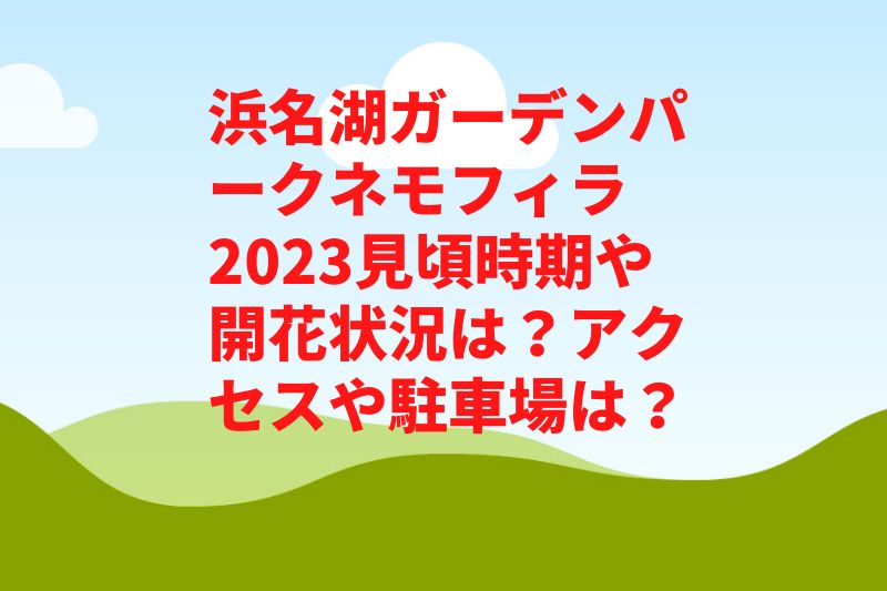 浜名湖ガーデンパークネモフィラ2023見頃時期や開花状況は？アクセスや駐車場は？