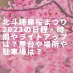 北斗陣屋桜まつり2023の日程・時間やライトアップは？屋台や場所や駐車場は？