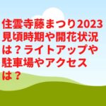 住雲寺藤まつり2023見頃時期や開花状況は？ライトアップや駐車場やアクセスは？