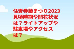 住雲寺藤まつり2023見頃時期や開花状況は？ライトアップや駐車場やアクセスは？