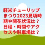 軽米チューリップまつり2023見頃時期や開花状況は？日程・時間やアクセスや駐車場は？