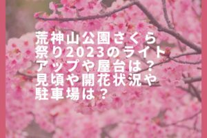 荒神山公園さくら祭り2023ライトアップや屋台は？見頃や開花状況や駐車場は？
