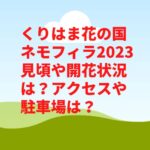 くりはま花の国ネモフィラ2023見頃や開花状況は？アクセスや駐車場は？