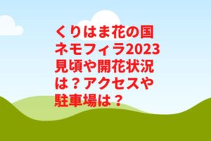 くりはま花の国ネモフィラ2023見頃や開花状況は？アクセスや駐車場は？