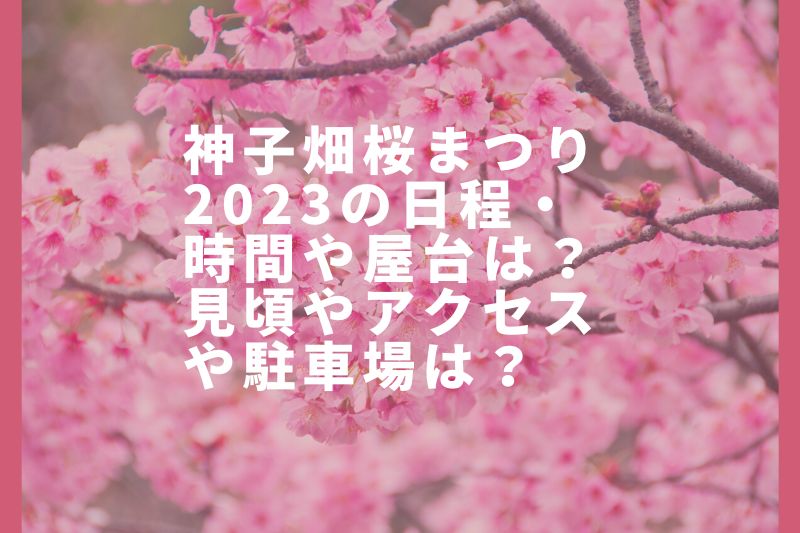 神子畑桜まつり2023の日程・時間や屋台は？見頃やアクセスや駐車場は？